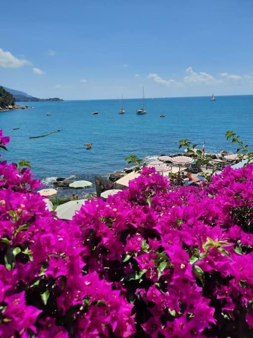 شقة La Terrazza Sul Golfo Dei Poeti Con Vista Mare Pitelli المظهر الخارجي الصورة